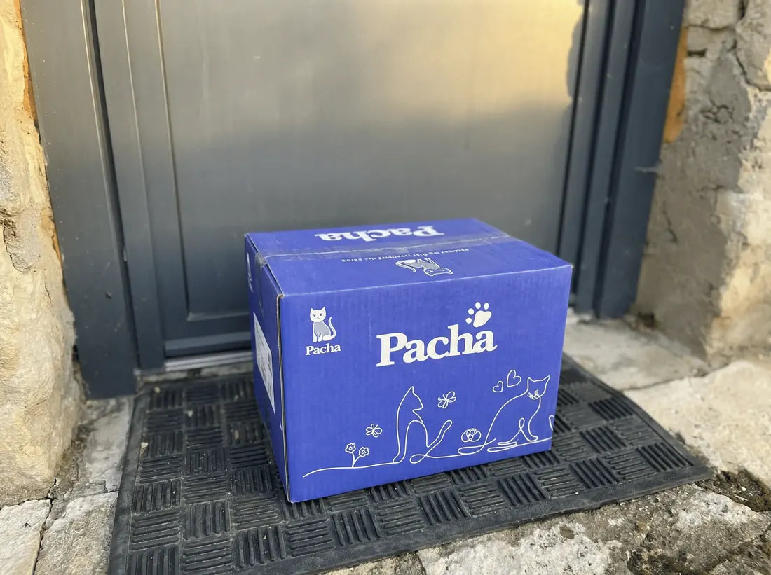Caja de Pacha en la puerta de casa