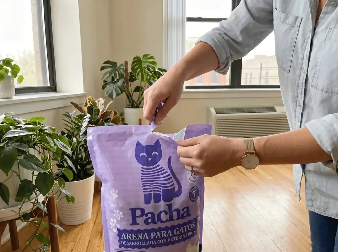 Apertura de un nuevo saco de Pacha